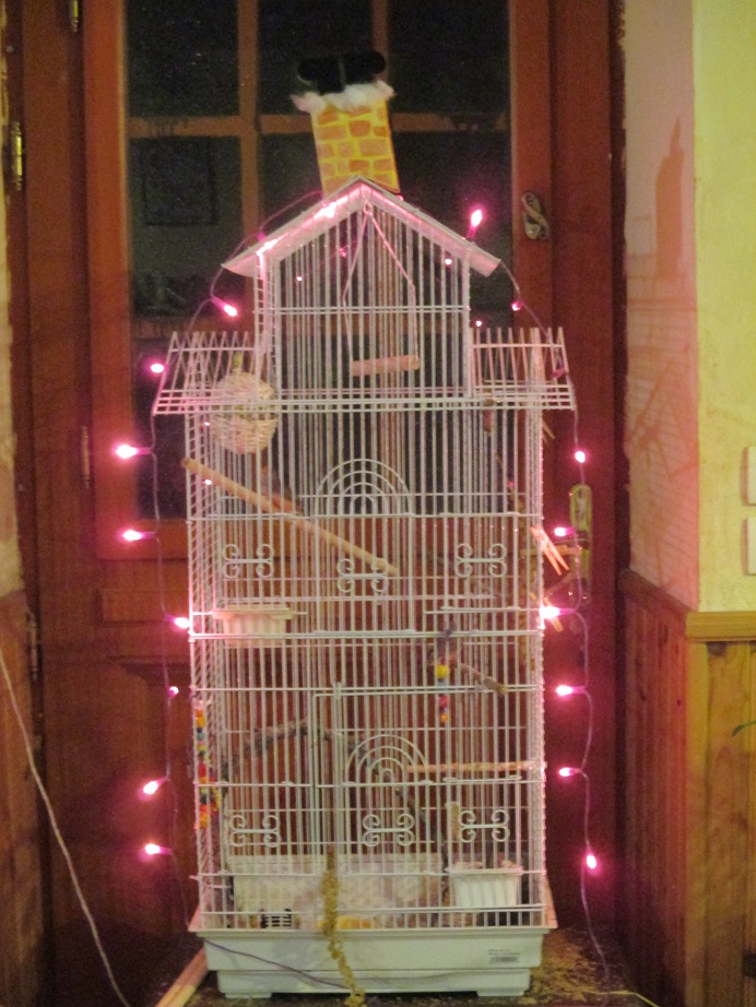 Christmassy finch cage